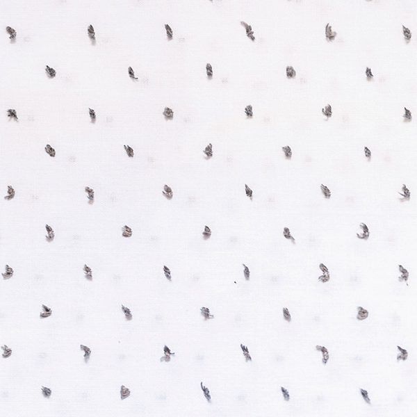 PB2 Plumetti Bicolor White & Grey- KATIA